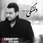 دانلود آهنگ جدید مهران ساعتی بنام دلتنگی