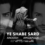 دانلود آهنگ جدید انوش و امیزاپور بنام یه شب سرد