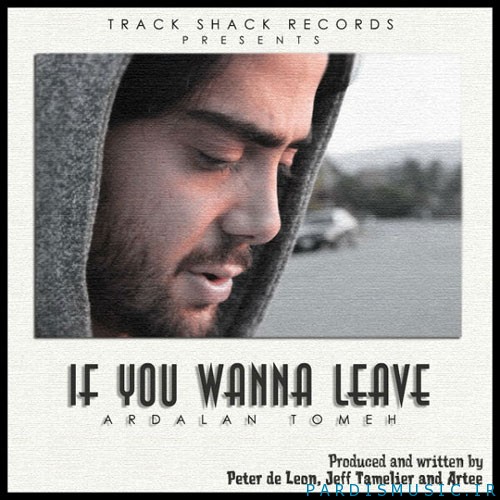 If-You-Wanna-Leave