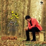 دانلود آهنگ جدید علی عبدالمالکی پاییز
