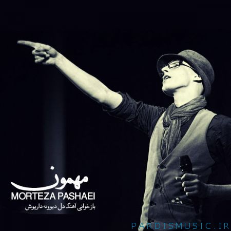 دانلود آهنگ جديد مرتضی پاشایی مهمون