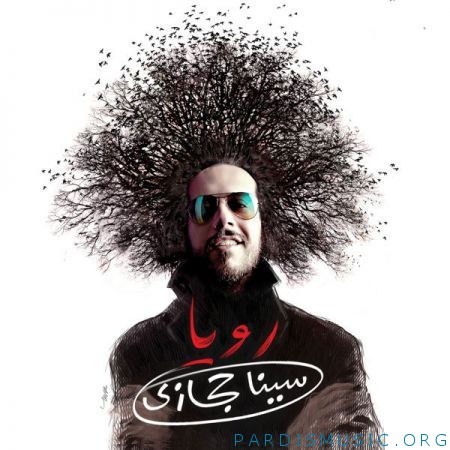 SinaHejazi