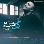 دانلود آهنگ جدید محمد میری زاده به نام گل شب بو
