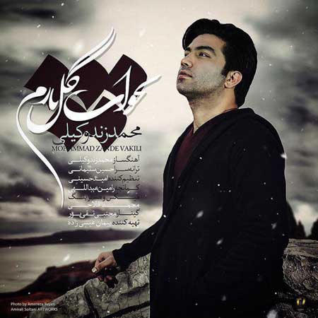 بخواب گل نازم