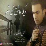 دانلود آهنگ جدید محسن دژاهنگ به نام دیگه عاشق نمیشم