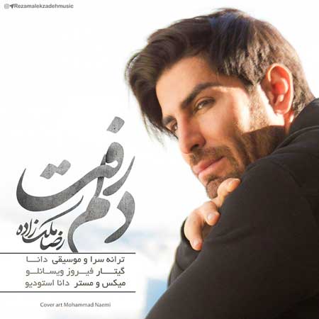 دلم رفت از رضا ملک زاده