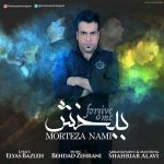 دانلود اهنگ جدید مرتضی نامی به نام ببخش