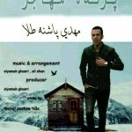 دانلود آهنگ جدید مهدی پاشنه طلا به نام پرنده مهاجر
