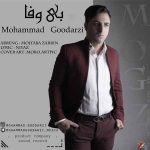 دانلود آهنگ جدید محمد گودرزی به نام بی وفا