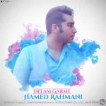دانلود آهنگ جدید حامد رحمانی به نام دلم گرمه