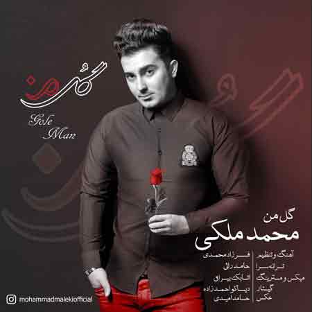 دانلود آهنگ جدید محمد ملکی به نام گل من