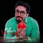 دانلود آهنگ جدید داریوش شریفی به نام شب یلدا