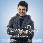 دانلود آهنگ جدید صالح کامرانی به نام بانوی رویایی