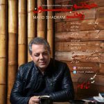دانلود آهنگ جدید مجید شادکام به نام خودتو زودتر برسون
