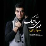 دانلود آهنگ جدید مهدی تاجیک به نام سرگردان