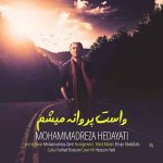 دانلود آهنگ جدید محمدرضا هدایتی به نام واست پروانه میشم