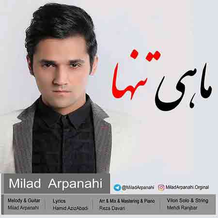 میلاد آرپناهی ماهی تنها