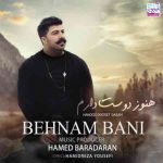 دانلود آهنگ جدید بهنام بانی به نام هنوز دوست دارم