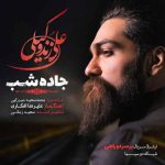 دانلود آهنگ جدید علی زند وکیلی به نام جاده شب