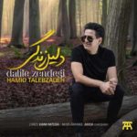 دانلود آهنگ جدید حمید طالب زاده دلیل زندگی