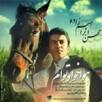 دانلود آهنگ محسن ابراهیم زاده هوا خواه