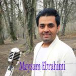 میثم ابراهیمی 