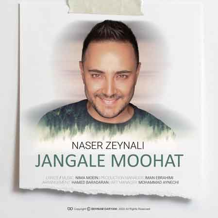 دانلود آهنگ ناصر زینعلی جنگل موهات