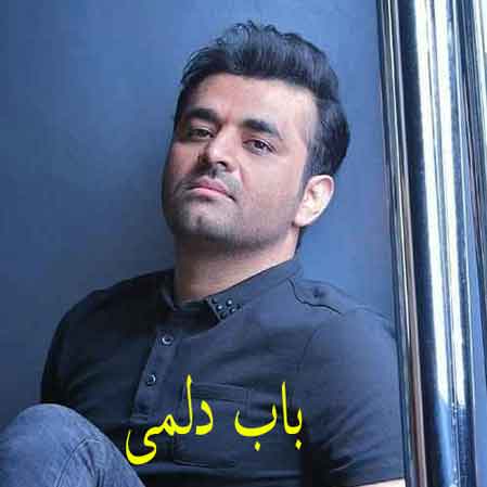 دانلود آهنگ میثم ابراهیمی باب دلمی