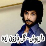 دانلود آهنگ داریوش گل بارون زده