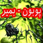 دانلود آهنگ پوبون بمیر
