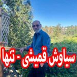 دانلود آهنگ سیاوش قمیشی تنها