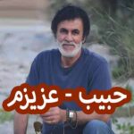 دانلود آهنگ حبیب عزیزم