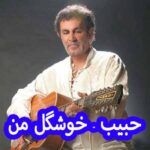 دانلود آهنگ حبیب خوشگل من