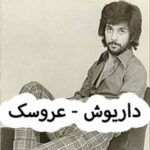 دانلود آهنگ داریوش عروسک