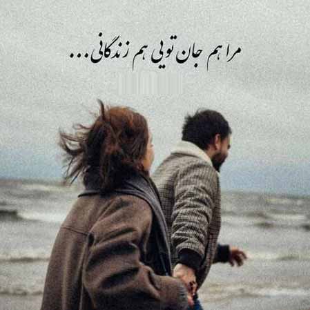 دانلود آهنگ ویگن غزال