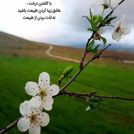 دانلود آهنگ زدبازی گیتار کولی