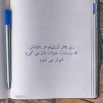 دانلود آهنگ ویگن کبک وحشی