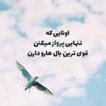دانلود آهنگ ویگن مرغی بر شاخه تاک