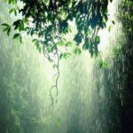 دانلود آهنگ قدیمی هلن خونه عشق