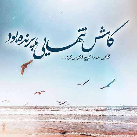 دانلود ریمیکس آهنگ شاید اولین جایی که دیدمت نبوده تهران