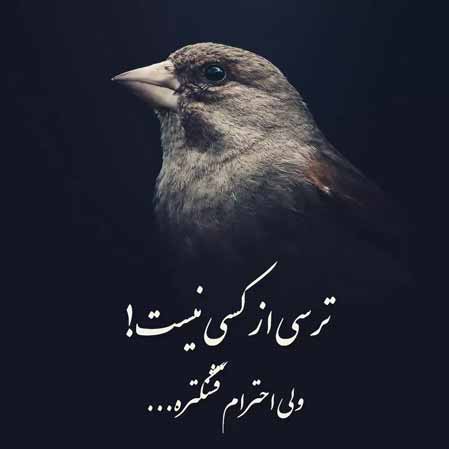 دانلود آهنگ شایان اشراقی داد نزن دانلود آهنگ شایان اشراقی داد نزن