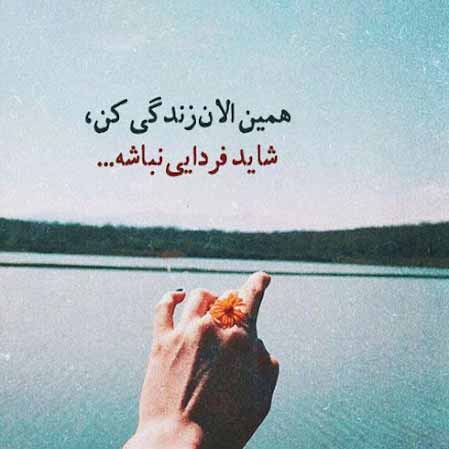 دانلود آهنگ وحید تاج ماه و پلنگ