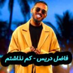دانلود آهنگ فاضل دریس کم نذاشتم