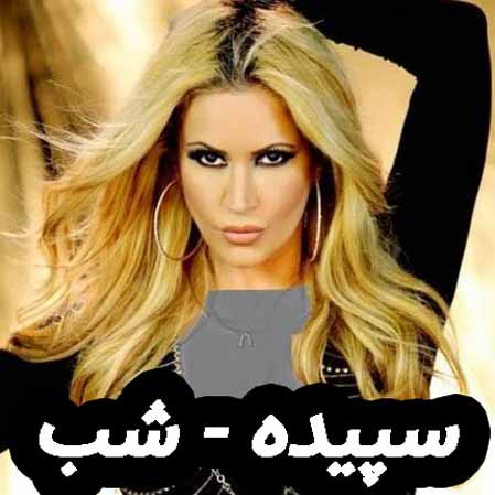 دانلود آهنگ سپیده شب